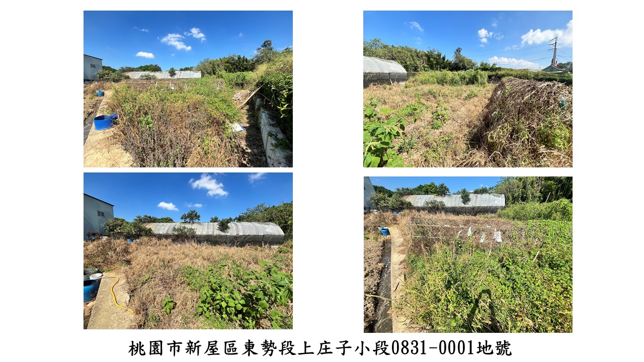 新屋土地照片