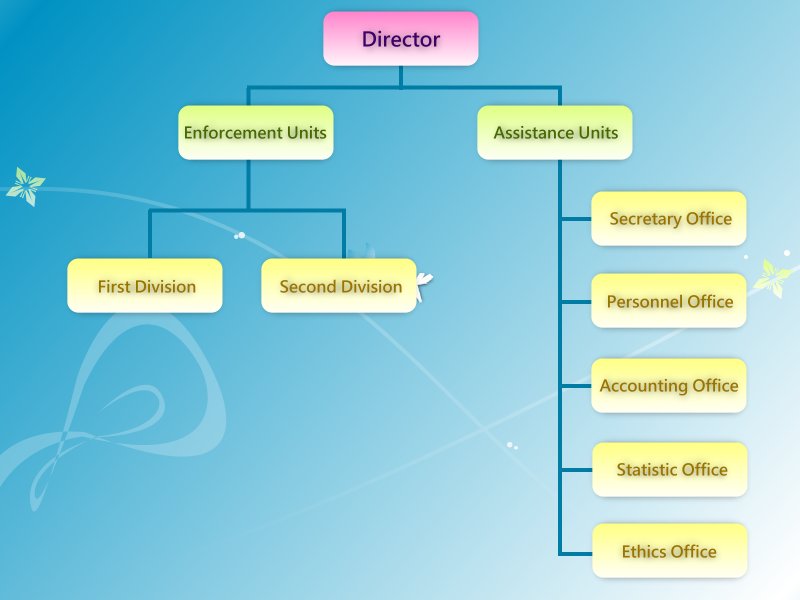 Organization Structure picture
